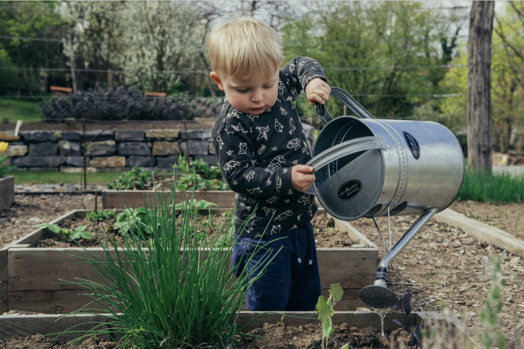 child pouring water from watering can into garden bed